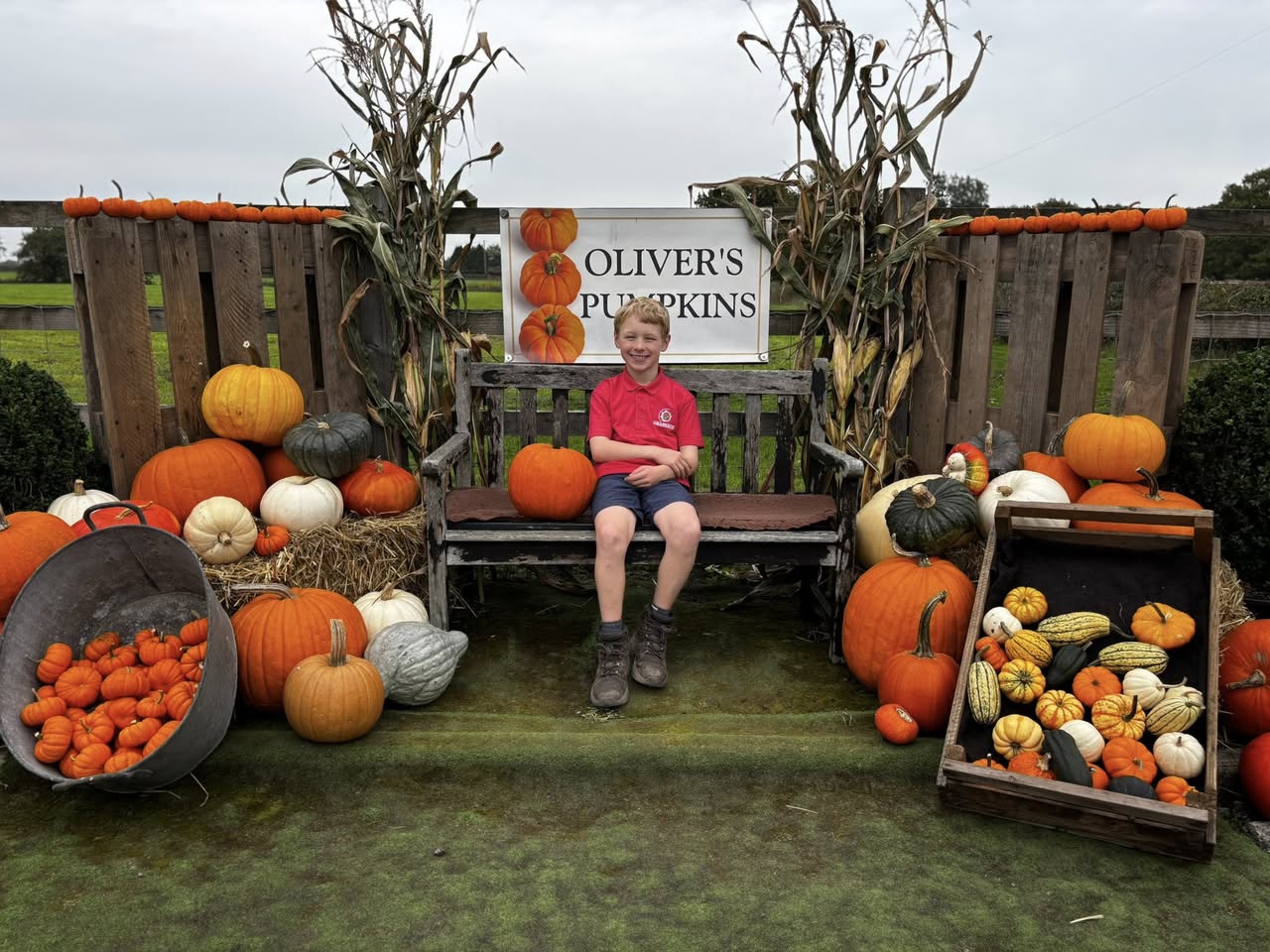 Oliver's Pumpkins