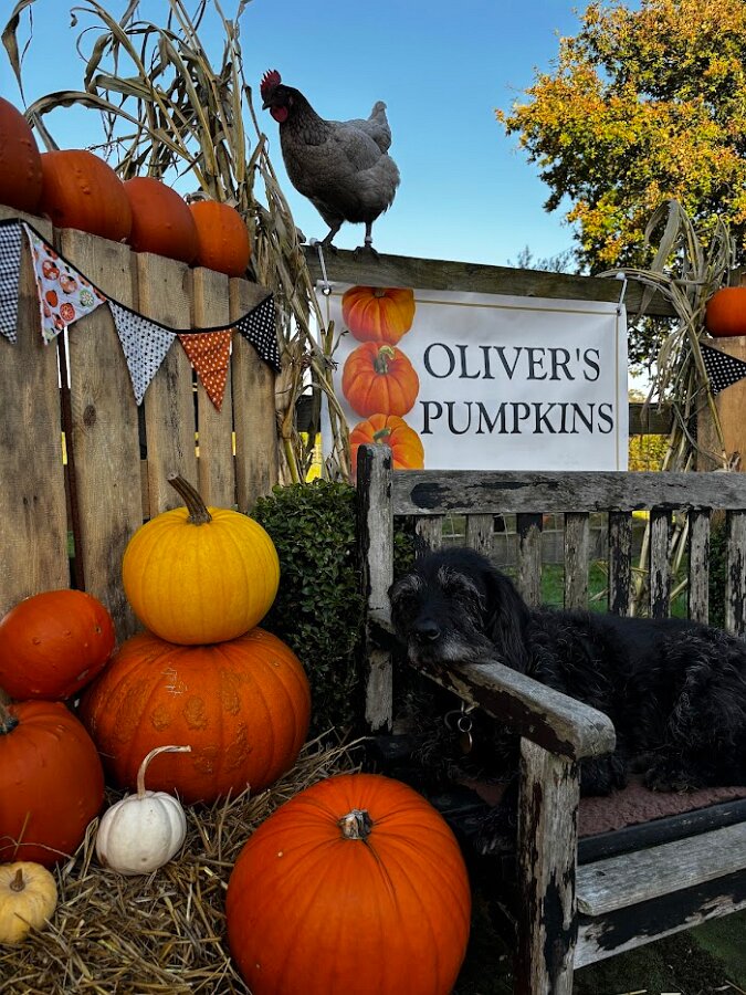 Hard Day Selling Ruby