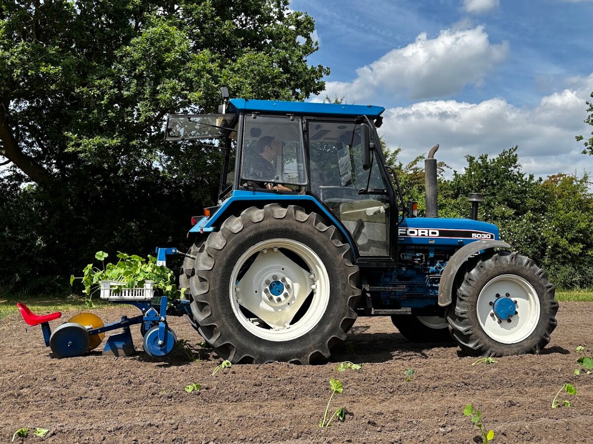 Pumpkin Planting Tractor
