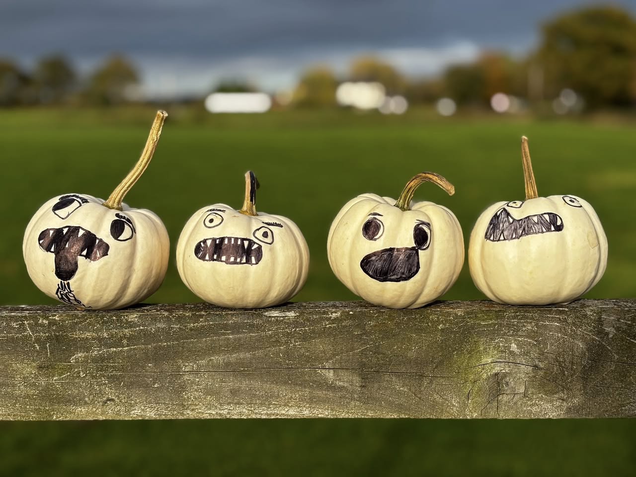 Pumpkin Faces